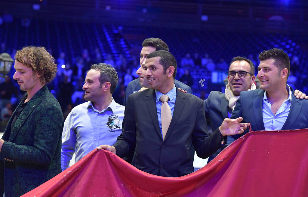 Gold Champion Senior Male: Wadee Al Shaqab (Marwan Al Shaqab X OFW Mishaahl)