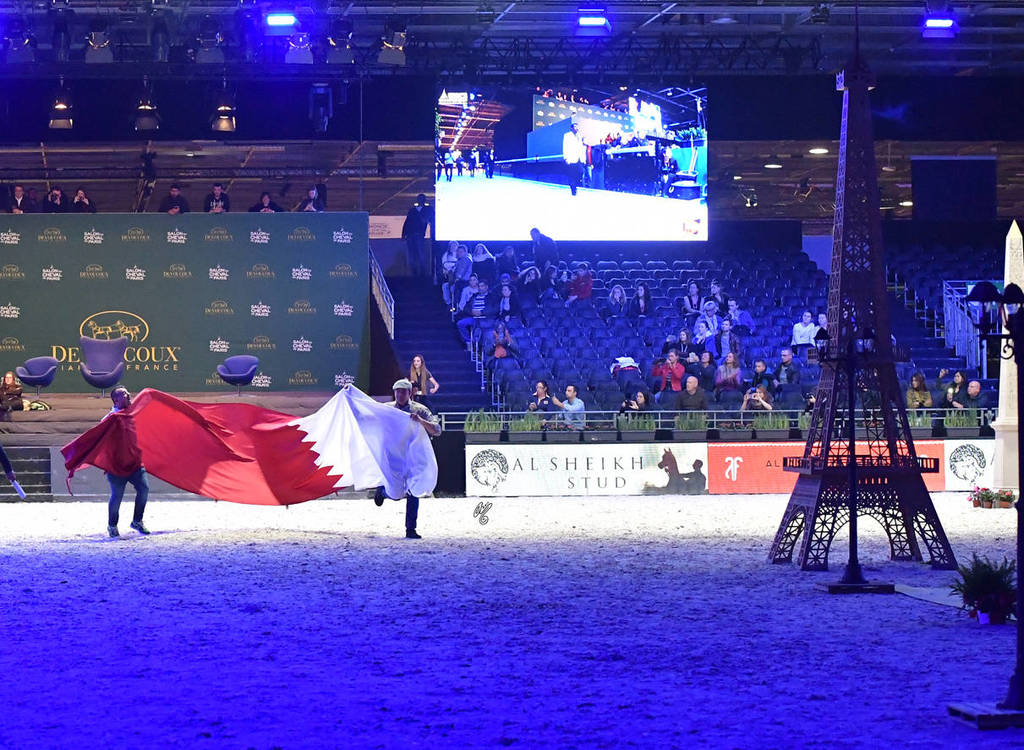 Gold Champion Senior Male: Wadee Al Shaqab (Marwan Al Shaqab X OFW Mishaahl)