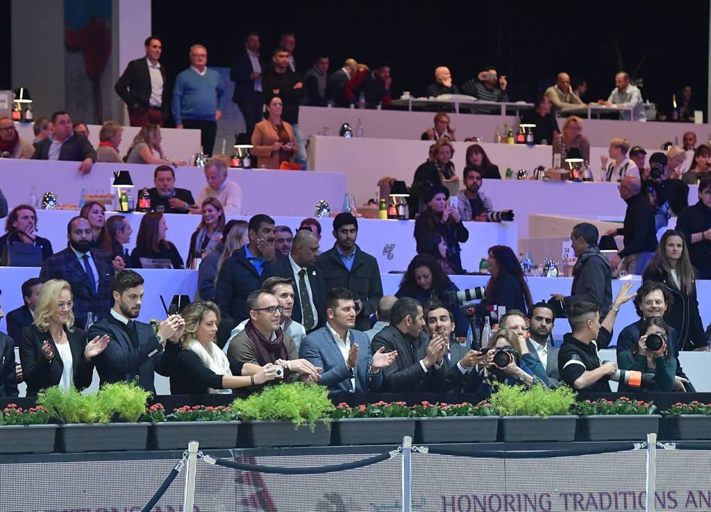 Gold Champion Senior Male: Wadee Al Shaqab (Marwan Al Shaqab X OFW Mishaahl)