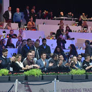 Gold Champion Senior Male: Wadee Al Shaqab (Marwan Al Shaqab X OFW Mishaahl)