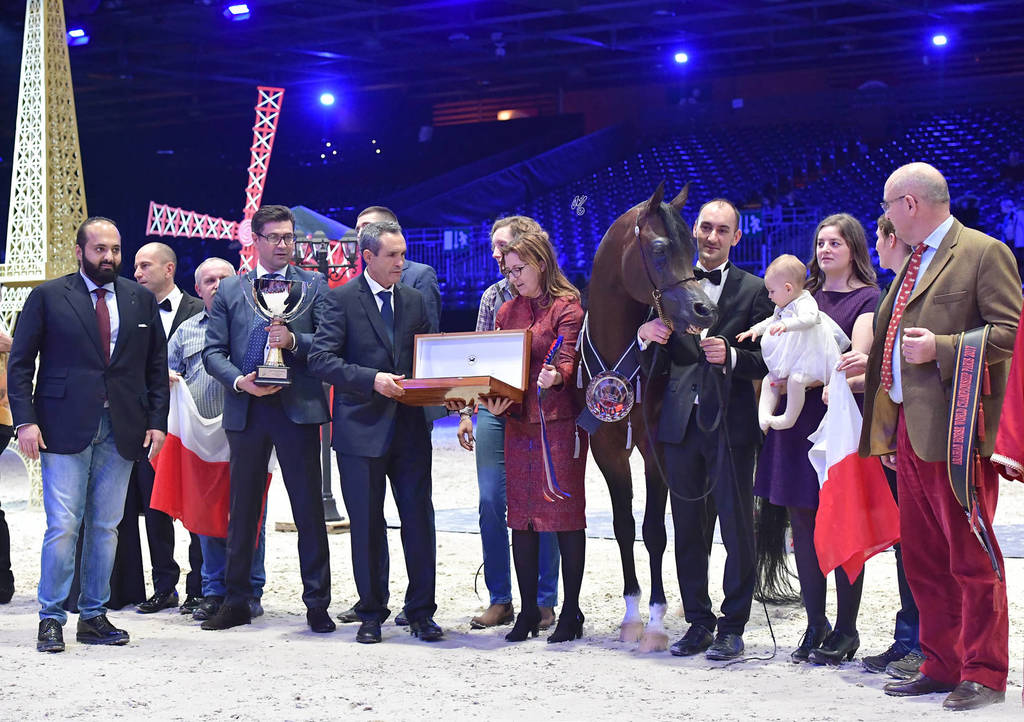 Silver Champion Senior Male: Equator (QR Marc X Ekliptyka) 