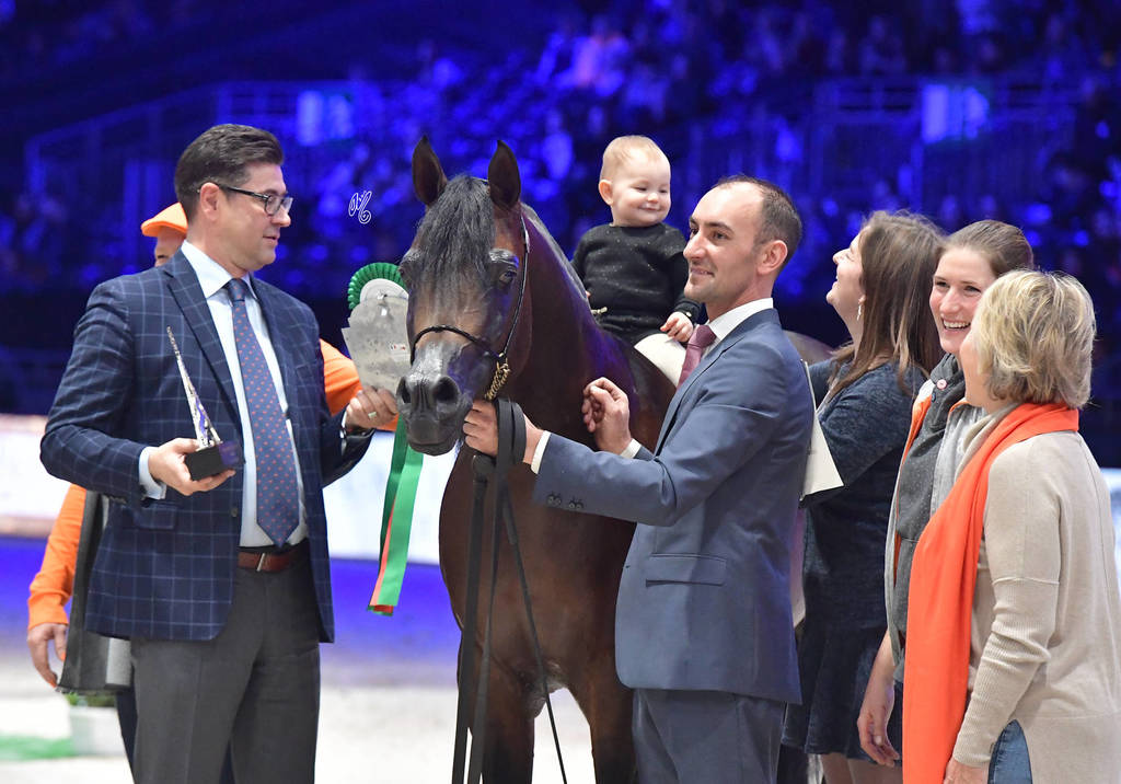 Silver Champion Senior Male: Equator (QR Marc X Ekliptyka) 