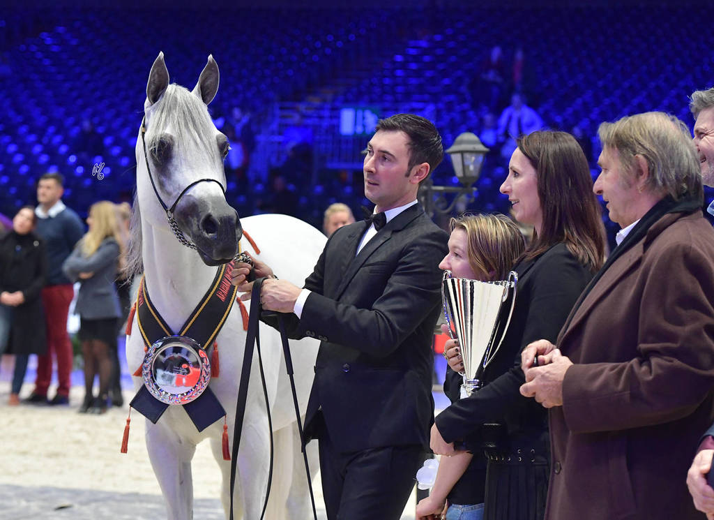 Bronze Champion Senior Male: Equiborn KA (QR Marc X Espadrilla)