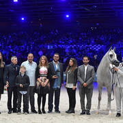 Gold Champion Junior Male:  Alexxanderr (Excalibur EA X AR Most Irresistible)