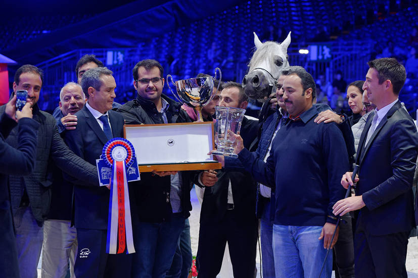 Silver Champion Junior Male: Fuerte (Shanghai EA X Frymuszka) Photo by Lidka Pawlowski 