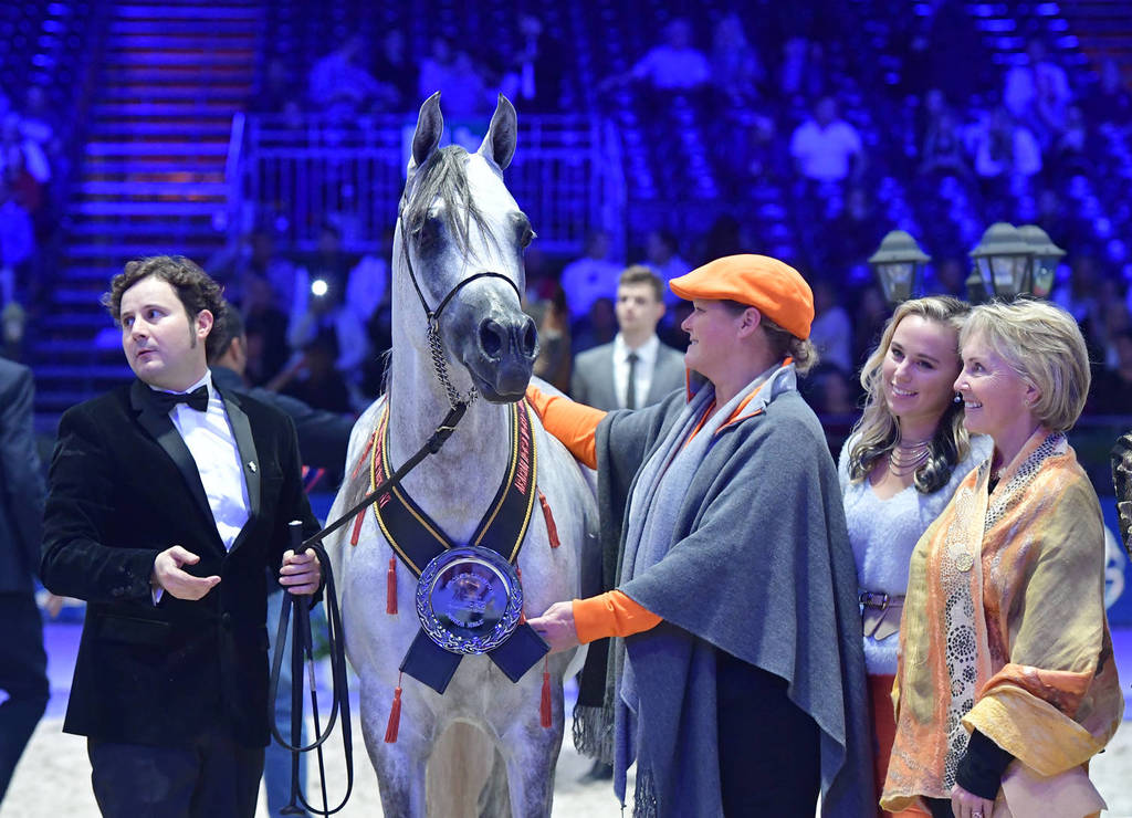 Bronze Champion Junior Male: Nadeem Al Arab (WH Justice X Om El Euphoria)