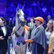 Bronze Champion Junior Male: Nadeem Al Arab (WH Justice X Om El Euphoria)