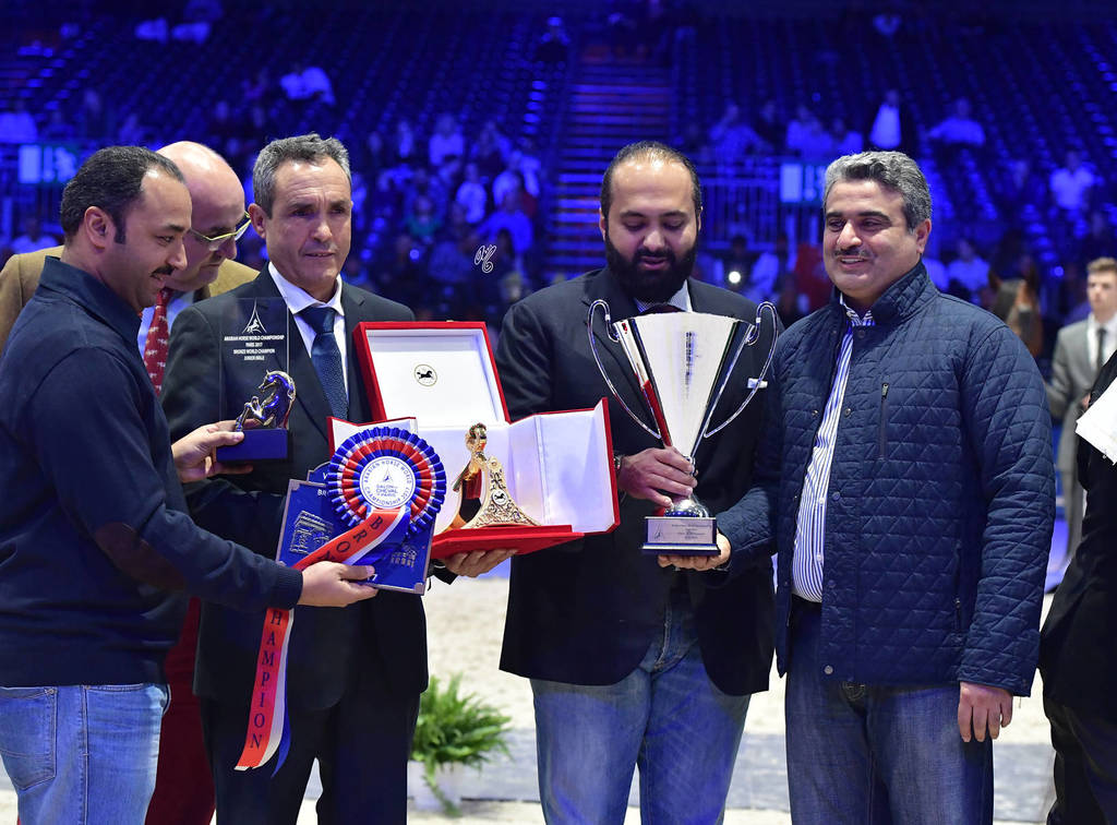 Bronze Champion Junior Male: Nadeem Al Arab (WH Justice X Om El Euphoria)