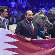 Gold Champion Yearling Male: Figaro (Wadee Al Shaqab X Shirin By Aisha)