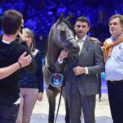 Silver Champion Yearling Male: HL El Ganador (HP Shakir TE X Lonco Bay Maria) 