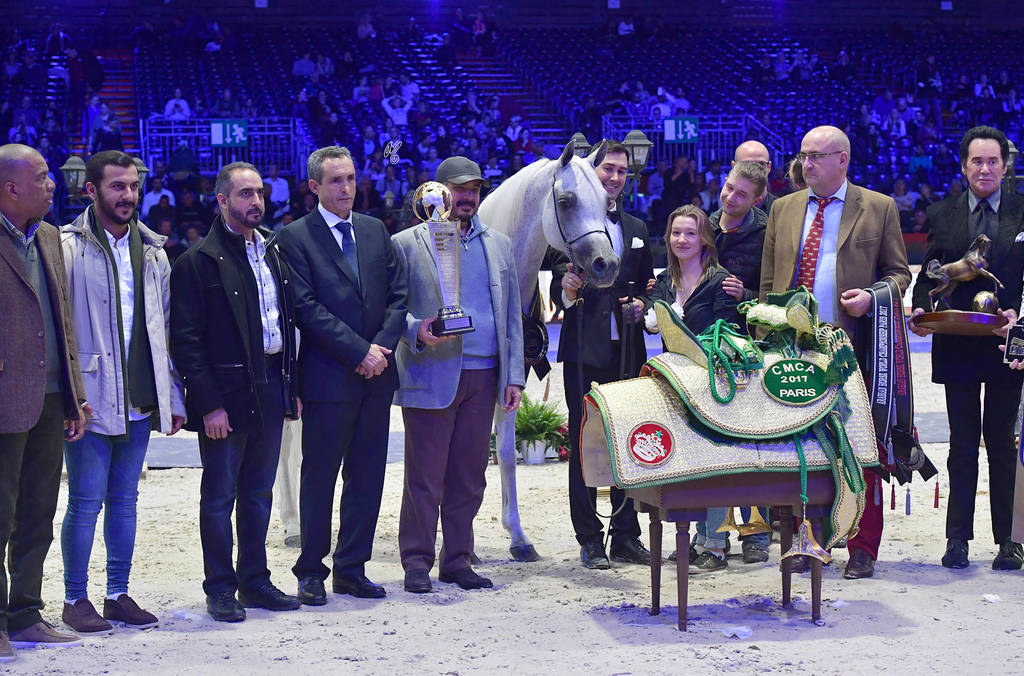 Gold Champion Senior Female:  Tehama Ballalina (Tehama Na Sidaqa X JJ Shai Majestic Queen)  