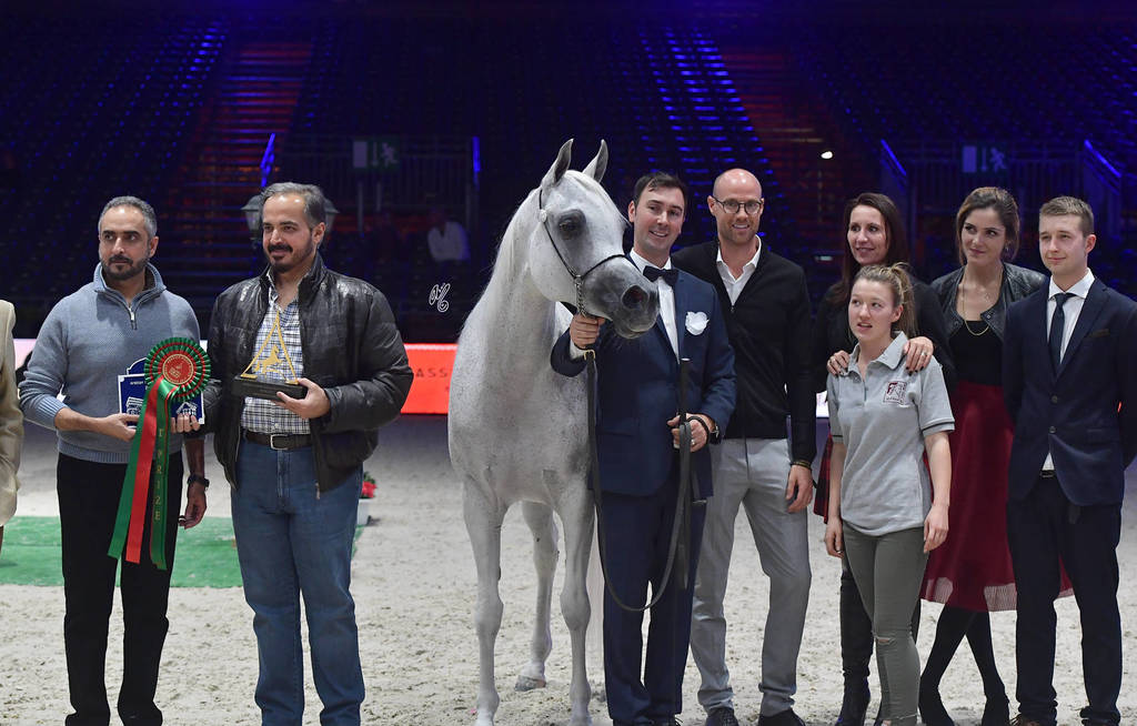 Gold Champion Senior Female:  Tehama Ballalina (Tehama Na Sidaqa X JJ Shai Majestic Queen)  