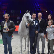 Gold Champion Senior Female:  Tehama Ballalina (Tehama Na Sidaqa X JJ Shai Majestic Queen)  