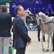 Silver Champion Senior Female: Shirin By Aisha (WH Justice x Aisha) 