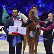 Bronze Champion Senior Female: Delights Divah RB (Ajman Moniscione X Honeys Delight RB) 