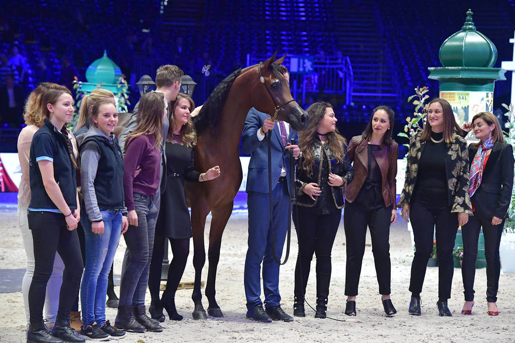 Bronze Champion Junior Female: Belladonna AT (Wadee Al Shaqab X Om El Bellatrix) 