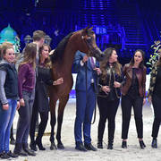 Bronze Champion Junior Female: Belladonna AT (Wadee Al Shaqab X Om El Bellatrix) 