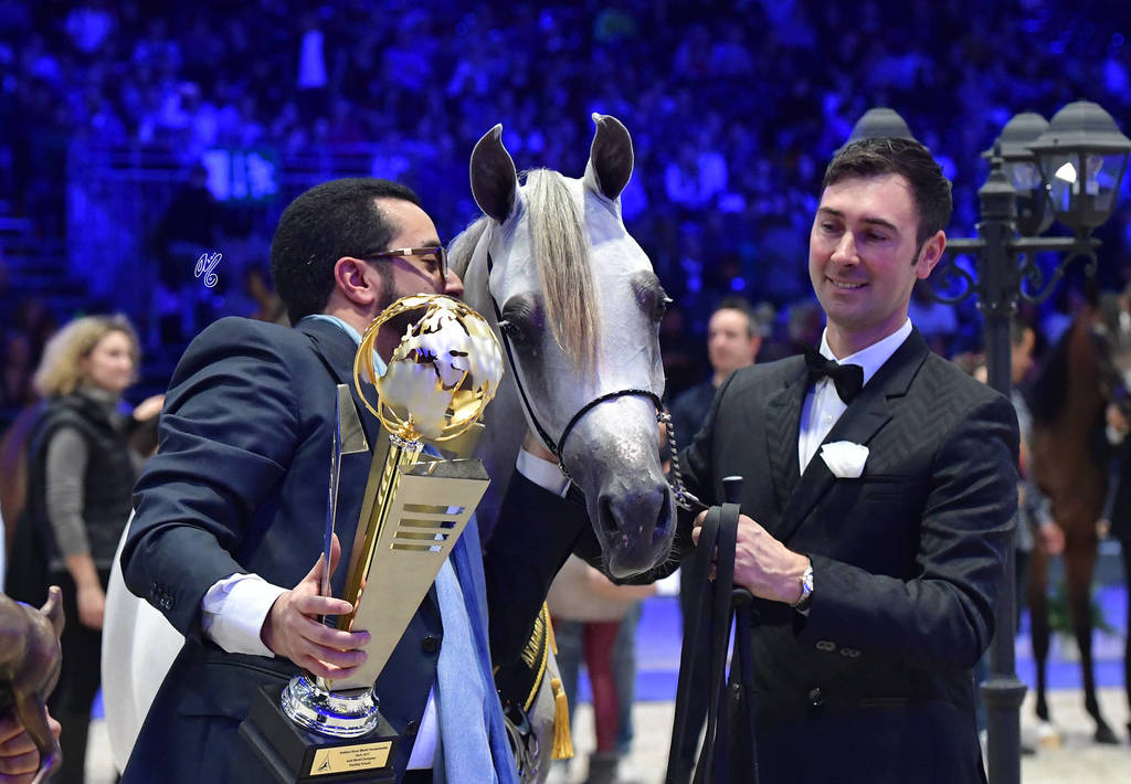 Gold Champion Yearling Female: LR ERA De Excalibur (Excalibur EA X Expected Beauty RP) 