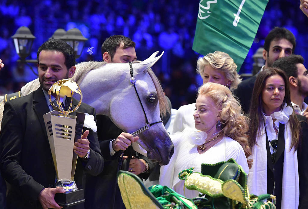 Gold Champion Yearling Female: LR ERA De Excalibur (Excalibur EA X Expected Beauty RP) 