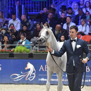 Gold Champion Yearling Female: LR ERA De Excalibur (Excalibur EA X Expected Beauty RP) 