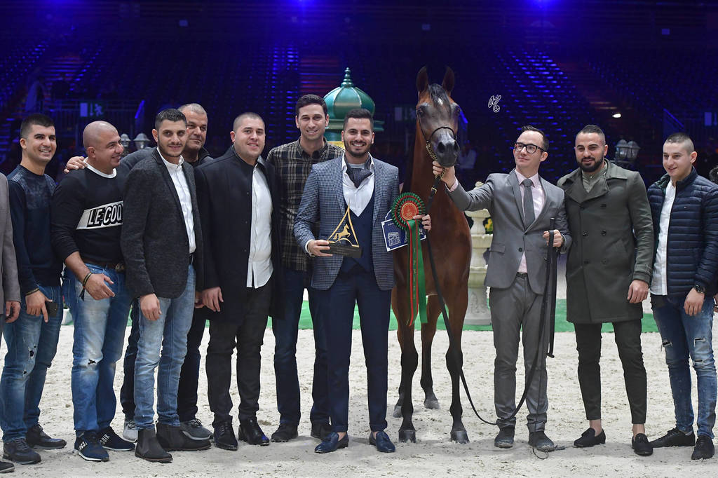 Silver Champion Yearling Female: Seranza (Kanz Albidayer X Evening Serenade) 