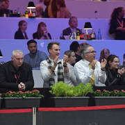 Silver Champion Yearling Female: Seranza (Kanz Albidayer X Evening Serenade) 