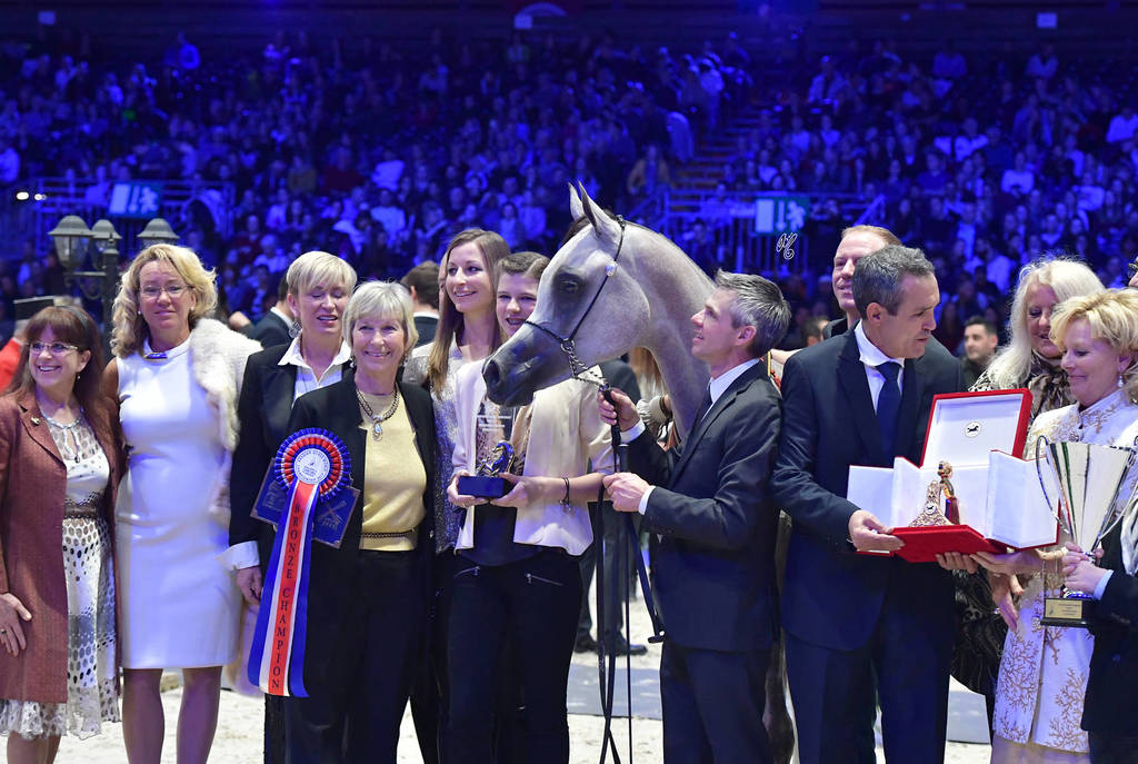 Bronze Champion Yearling Female: Om El Erodite (EKS Alihandro X Om El Excella)