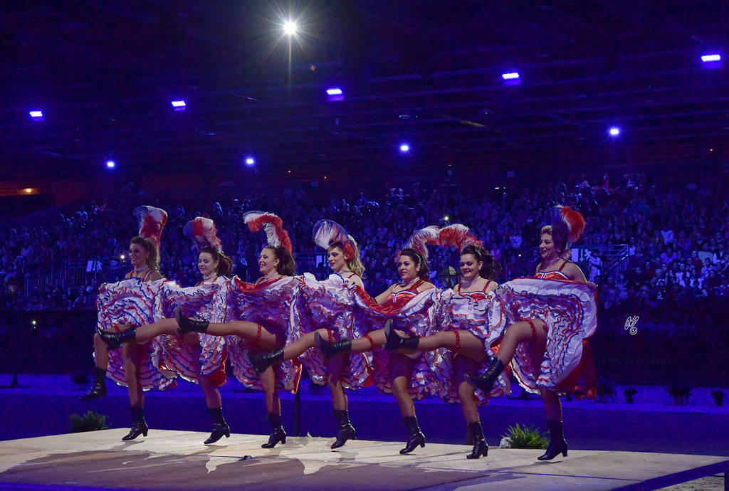 Lisa Abraham: The 2017 Arabian Horse World Championship Photo Album