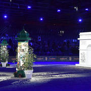 Lisa Abraham: The 2017 Arabian Horse World Championship Photo Album
