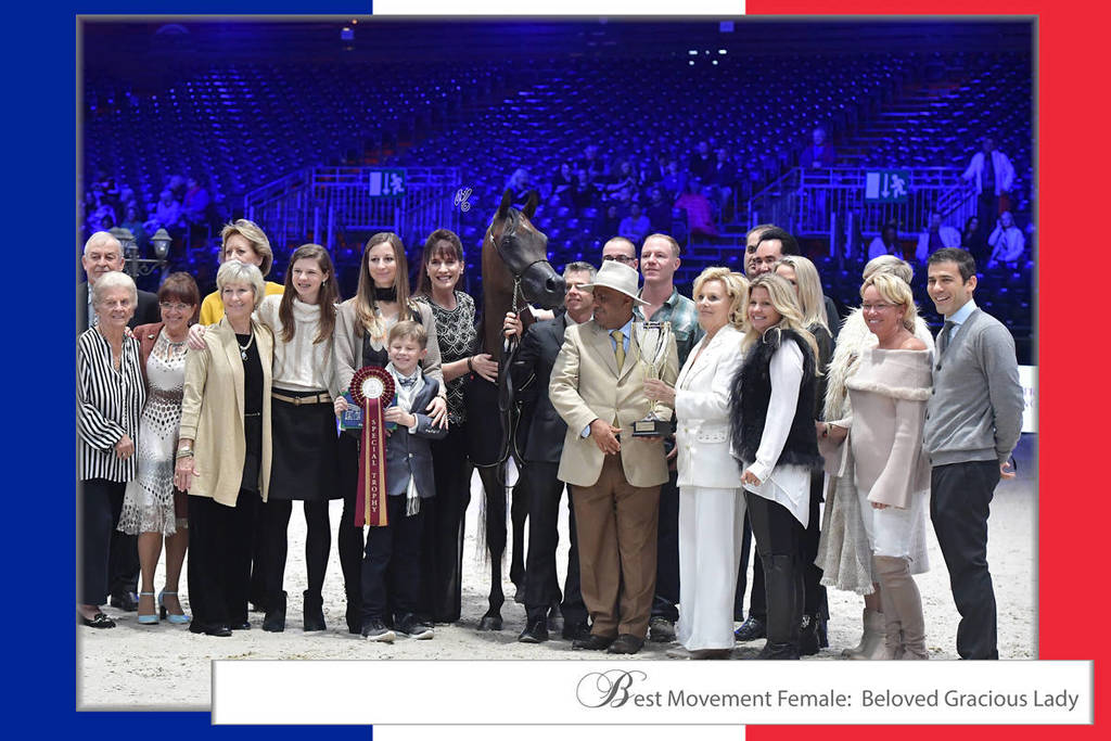 Lisa Abraham: The 2017 Arabian Horse World Championship Photo Album