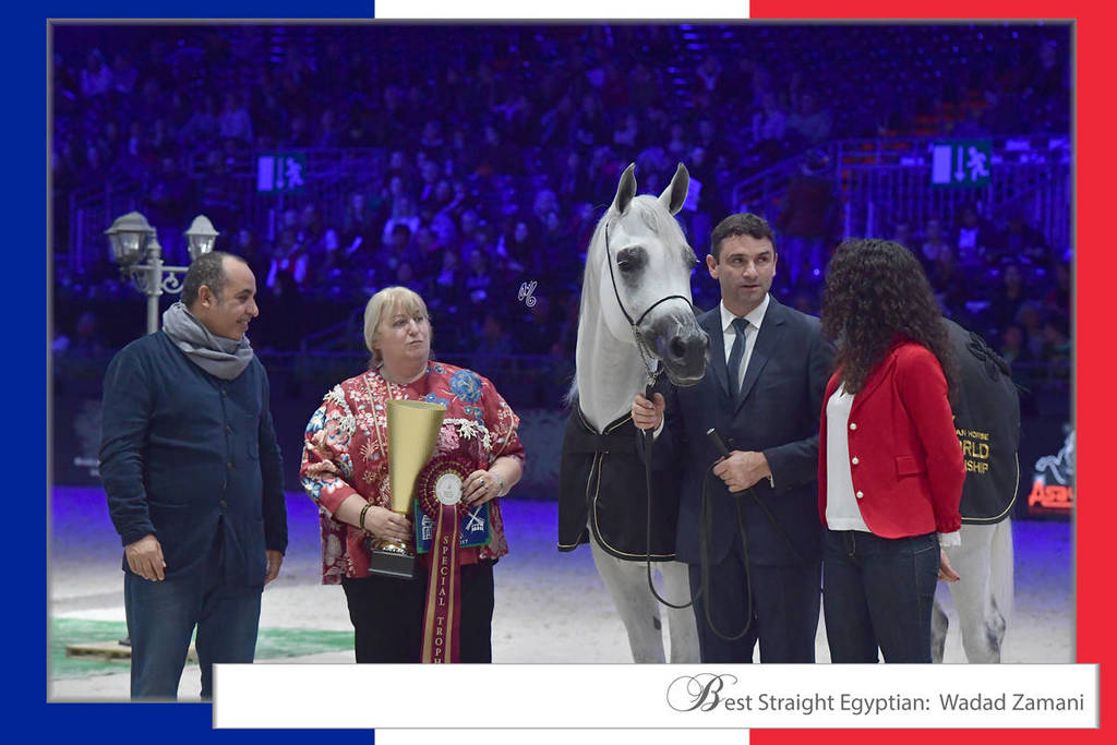 Lisa Abraham: The 2017 Arabian Horse World Championship Photo Album