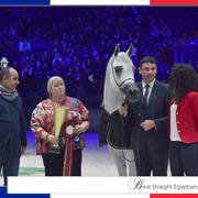 Lisa Abraham: The 2017 Arabian Horse World Championship Photo Album