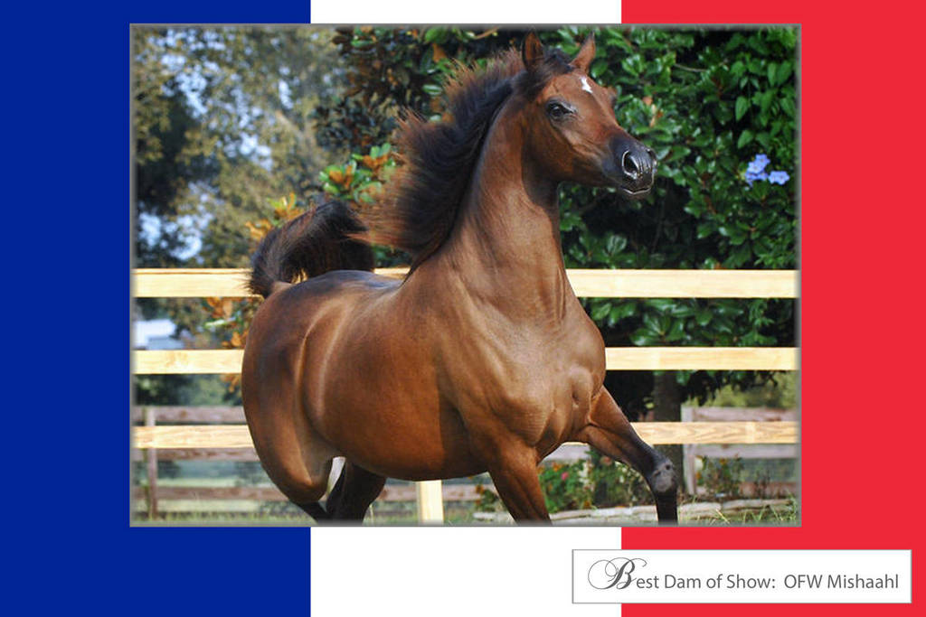 photographer unknown