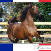 photographer unknown