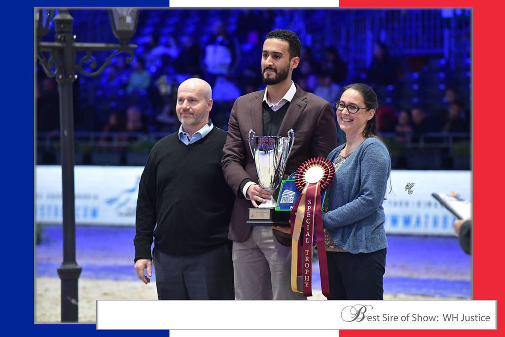 Lisa Abraham: The 2017 Arabian Horse World Championship Photo Album