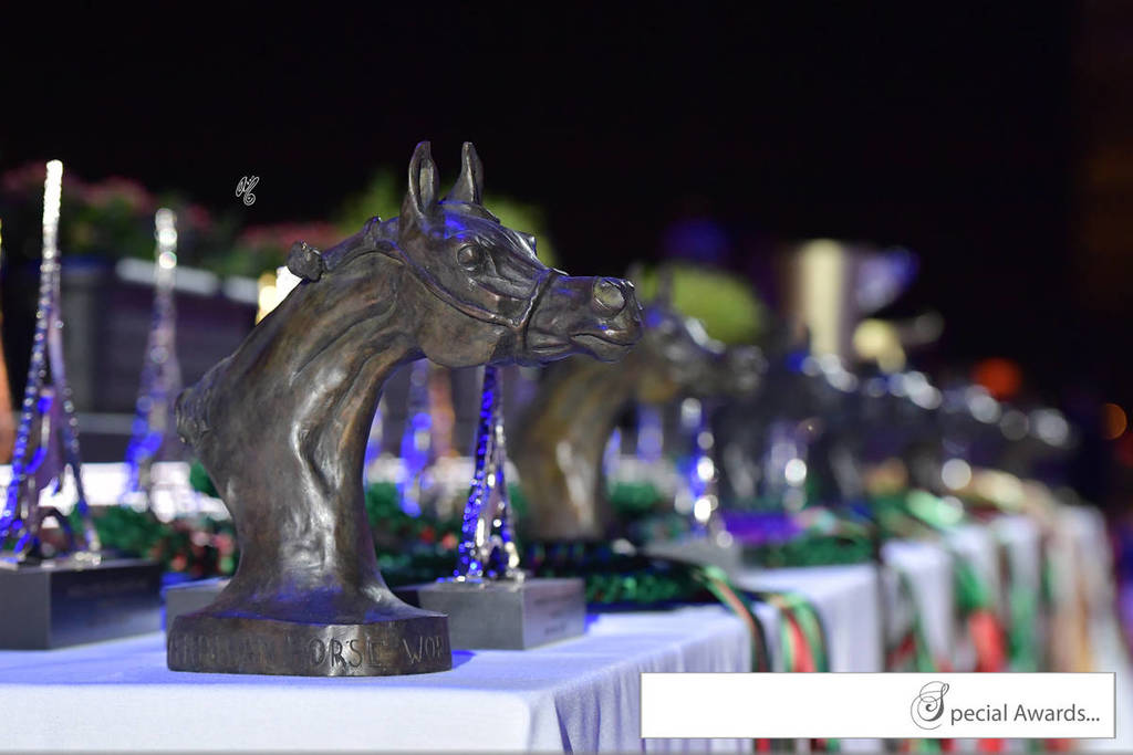 Lisa Abraham: The 2017 Arabian Horse World Championship Photo Album