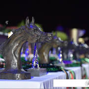 Lisa Abraham: The 2017 Arabian Horse World Championship Photo Album