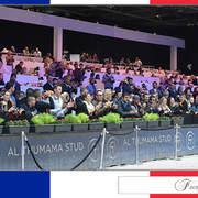 Lisa Abraham: The 2017 Arabian Horse World Championship Photo Album