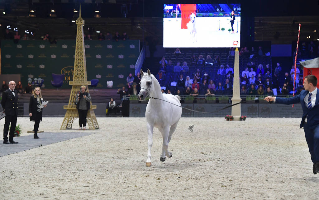 Senior Male: Kabsztad  