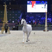 Senior Male: Kabsztad  