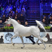 Senior Male: Valmir Mal 