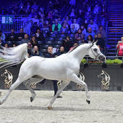 Senior Male: Valmir Mal 