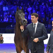 Senior Male: Van Gogh AM