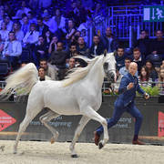 Senior Male: Moharib Al Khazna 