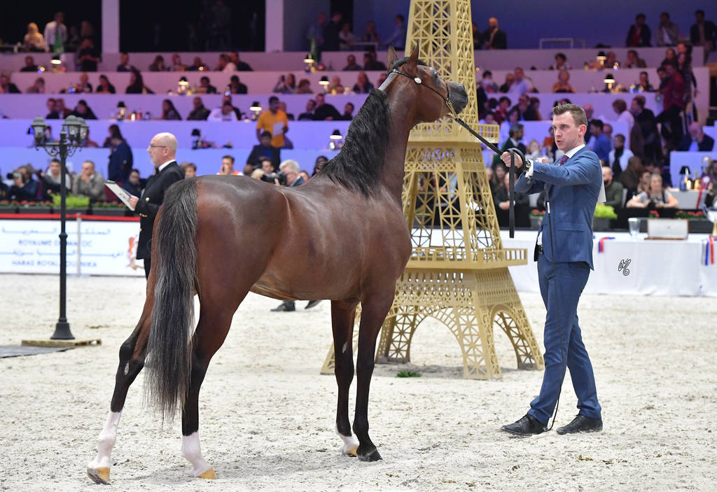 Junior Male: R'adjah De Cartherey 