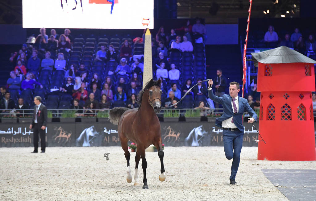 Junior Male: R'adjah De Cartherey 