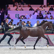 Junior Male: R'adjah De Cartherey 