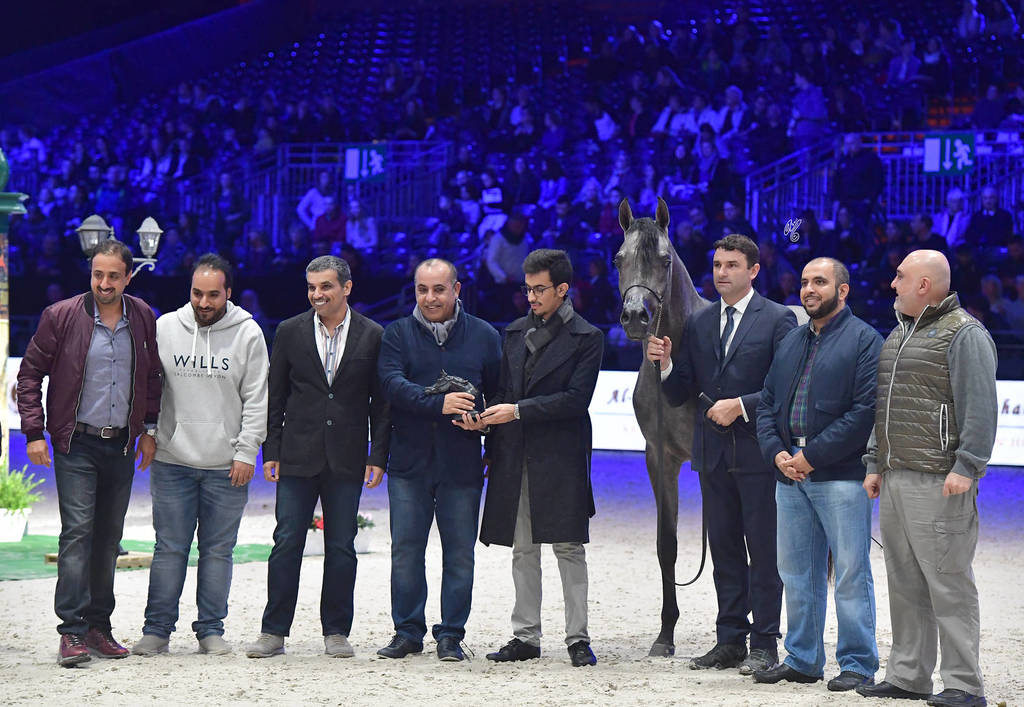 Junior Male: D Arghad