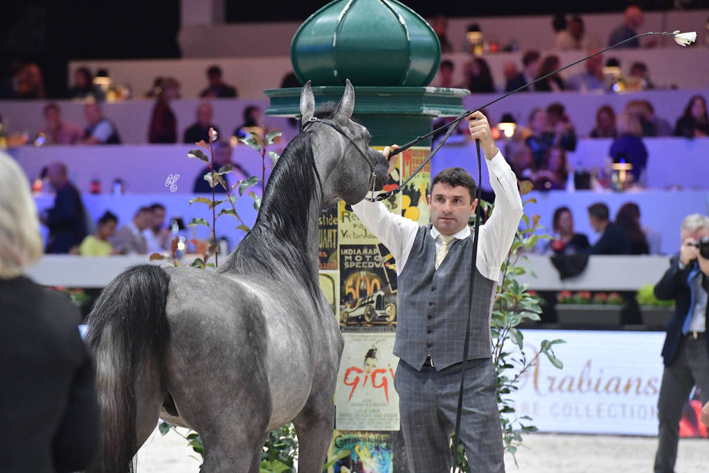 Junior Male: D Arghad