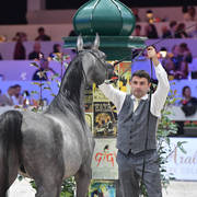 Junior Male: D Arghad